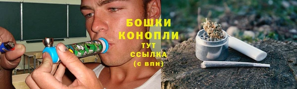 крисы Абдулино