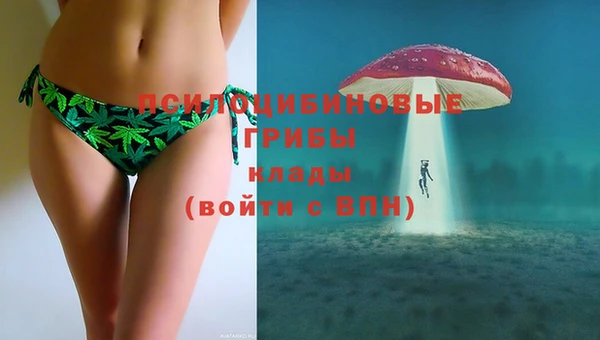 крисы Абдулино