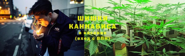 крисы Абдулино