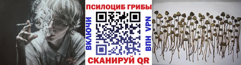 Галлюциногенные грибы Cubensis Емва